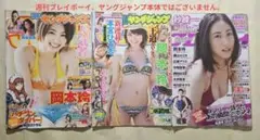 【激レア】岡本玲 グラビアオンリー2010-13年