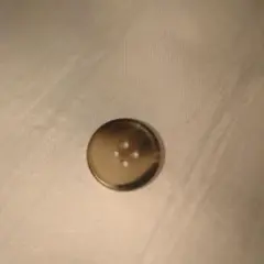 OUR LEGACY ブラウン 4穴ボタン 約2.5cm