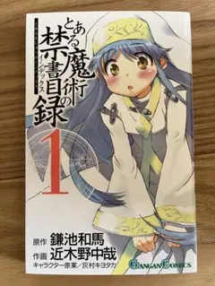 漫画　とある魔術の禁書目録1巻〜17巻セット