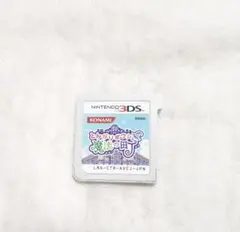 とんがりボウシと魔法の町　3DS ソフトのみ
