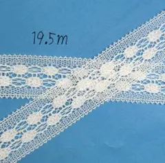 オフ白 ‐ トーションレース19.5m LAST