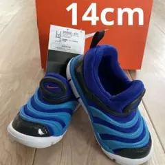ダイナモフリー NIKE