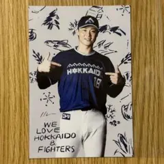 北海道日本ハムファイターズ ポストカード 山﨑福也選手