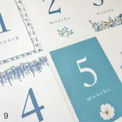 9.マンスリーカード 月齢カード（お花 flower シンプル)