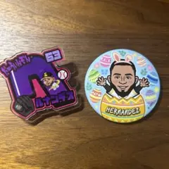 福岡ソフトバンクホークスヘルナンデス アクリルネームバッジ&缶バッジセット