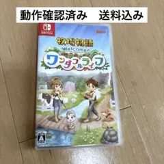 Welcome! ワンダフルライフ (Nintendo Switch)