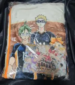 ハイキュー バラエティバッグ ブランケット カード