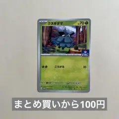 クヌギダマ　プロモ