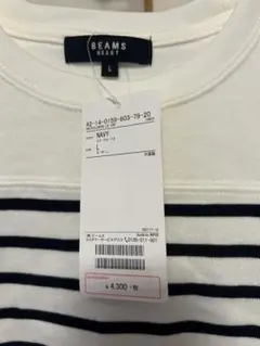 Item thumbnail for item 64774ae0-2083-42d3-aee5-280ea89fa89c