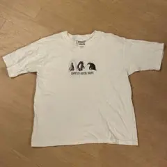 白Tシャツ ペンギン