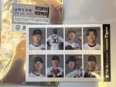 阪神タイガース　証明写真風ステッカー　門別啓人