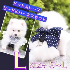 Item thumbnail for item dfcf5ada-ae8d-4eba-b91b-bb2d5239c6fe