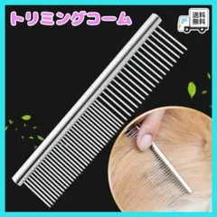 Item thumbnail for item f81747ea-78d1-4d5f-b9b4-162ce824597c