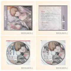君が眠るまでただ愛したい 特典CD付 佐和真中