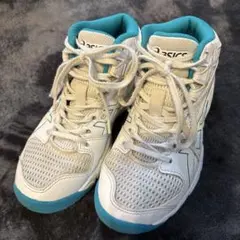 Item thumbnail for item c62234b6-ce81-4aee-8d55-72d55a325bcd