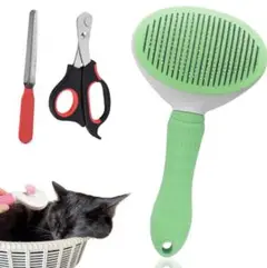 Item thumbnail for item c2030efd-f0ce-45f9-851c-25db401bc991