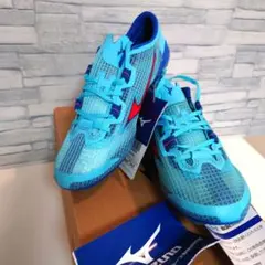 Item thumbnail for item 6404e2e7-aa0e-417b-99a5-341cbb4f6252