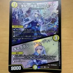 支配の精霊ぺルフェクト
