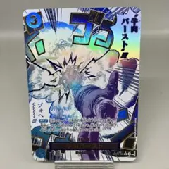 ● T プレイ用　ワンピース　牛肉バースト　パラレル　N5371
