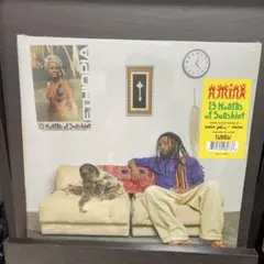 Amine 13 Months of Sunshine LP 未開封