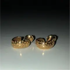 HERMES ピアス