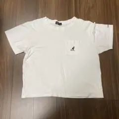 カンゴールtシャツ Lサイズ