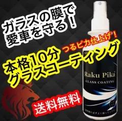 初心者や女性の方も安心!本格グラスコーティング ガラスコーティング剤 車 洗車