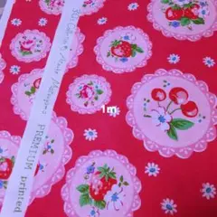 YUWA 30'scollection 松山敦子 コットンシーチング