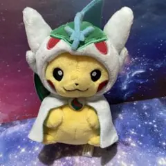 2025年最新】エルレイド ポンチョの人気アイテム - メルカリ