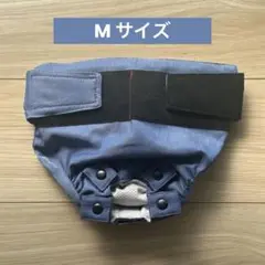 Item thumbnail for item 2fce29f3-7cd9-4bfc-8f17-9395a41a6d19