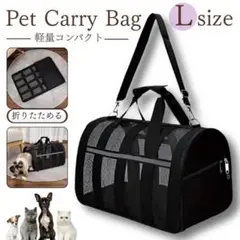 Item thumbnail for item ebf4431d-83c5-48d5-979e-e9c2a0f871a0