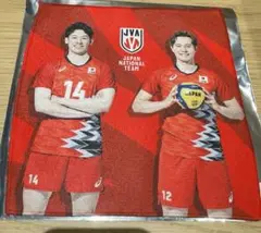 ネーションズリーグ シークレットミニタオル