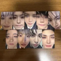 &TEAM 月狼 ベイビーウルフトレカ コンプ 9枚セット①