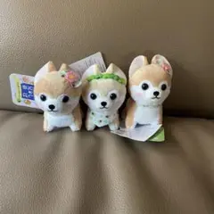豆柴三兄弟 ぬいぐるみ 人形