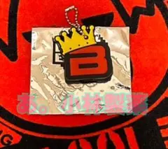 Item thumbnail for item 60279ecc-cfeb-4211-9067-87a690084149