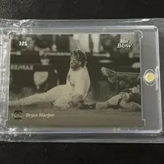 Item thumbnail for item ea355939-3914-42db-a09c-81569a247589