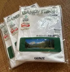 GUNZE 肌着　ダンディフレッシュ