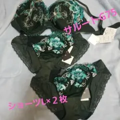 Item thumbnail for item 2cf82e25-c473-4992-847f-6a82f1db7c3e