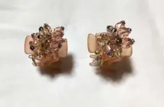 コンプレックスビズ デザートクリップ