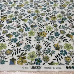 リバティ　LIBERTY 2010年　エデナム　グリーン