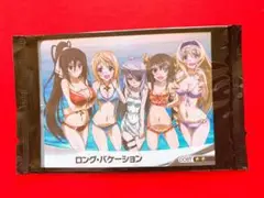 ファイブクロス ロング・バケーション インフィニット・ストラトス