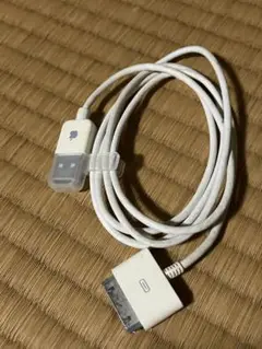 iPod nano 他クラシックiPod 充電ケーブル