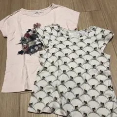 ユニクロポール&ジョー猫Tシャツ120 130 ２枚セット