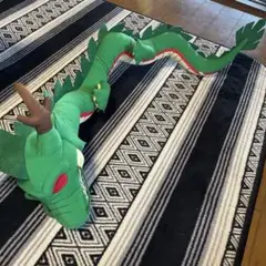 ドラゴンボール　神龍
