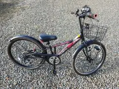 24インチ 6段変速 オートライトジュニア 自転車 TiMBRO