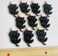 黒猫　　チャーム　10個
