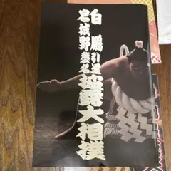 2025年最新】白鵬引退記念の人気アイテム - メルカリ