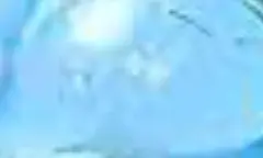 Item thumbnail for item bf84d14c-49bf-4988-b400-aafc9c44fbf1