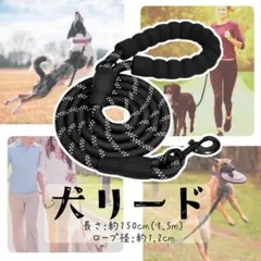 Item thumbnail for item b3f84b7d-1309-43e7-b876-073c6e802452