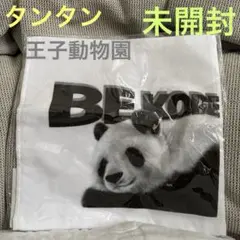 Item thumbnail for item 8c6e212e-d16b-426a-b7c0-65b1f94eb365